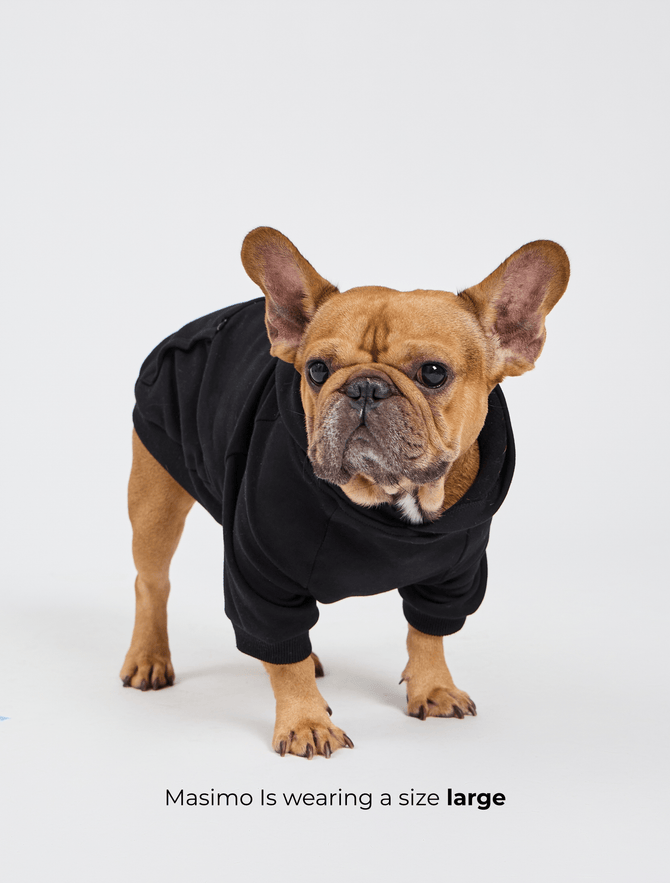 Dog Cloud Hoodie - Onyx Black Image 2